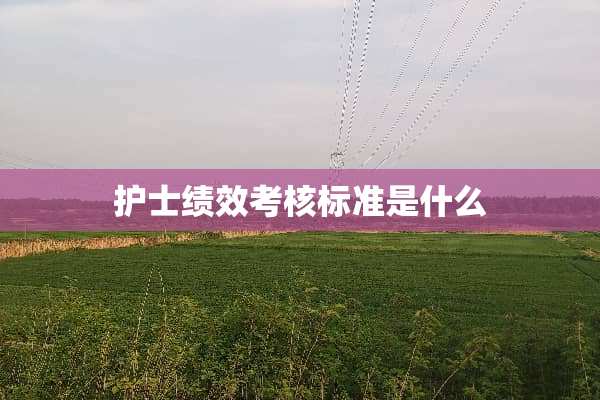 护士绩效考核标准是什么