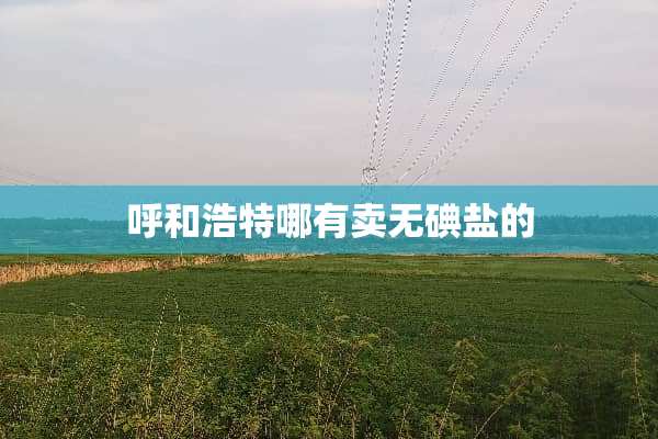 呼和浩特哪有卖无碘盐的