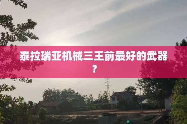 泰拉瑞亚机械三王前最好的**？