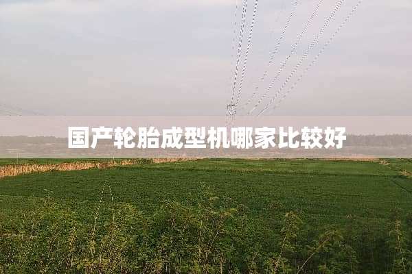 国产轮胎成型机哪家比较好