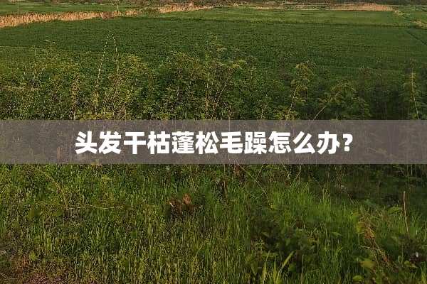 头发干枯蓬松毛躁怎么办？
