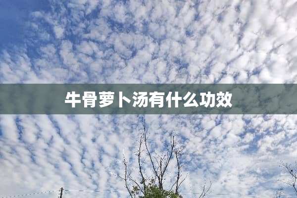 牛骨萝卜汤有什么功效
