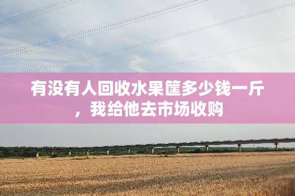 有没有人回收水果筐多少钱一斤，我给他去市场收购
