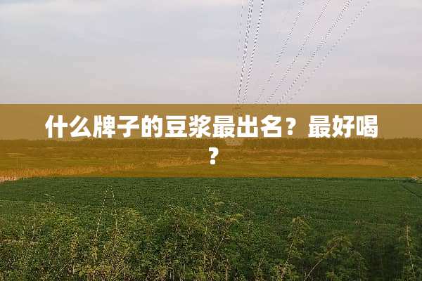 什么牌子的豆浆最出名？最好喝？