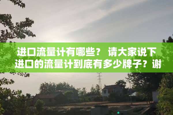 进口流量计有哪些？ 请大家说下 进口的流量计到底有多少牌子？谢谢！