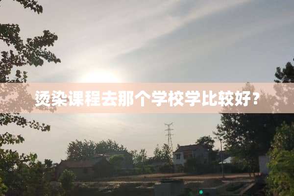 烫染课程去那个学校学比较好？