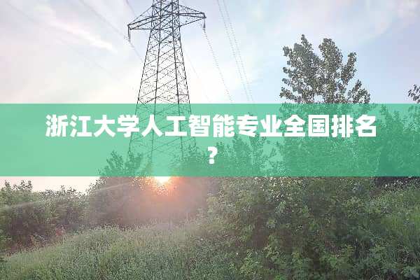 浙江大学人工智能专业全国排名？