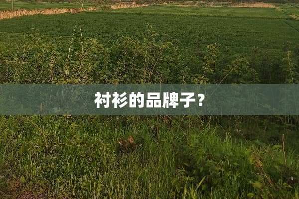 衬衫的品牌子？