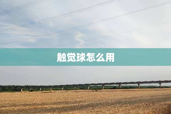 触觉球怎么用