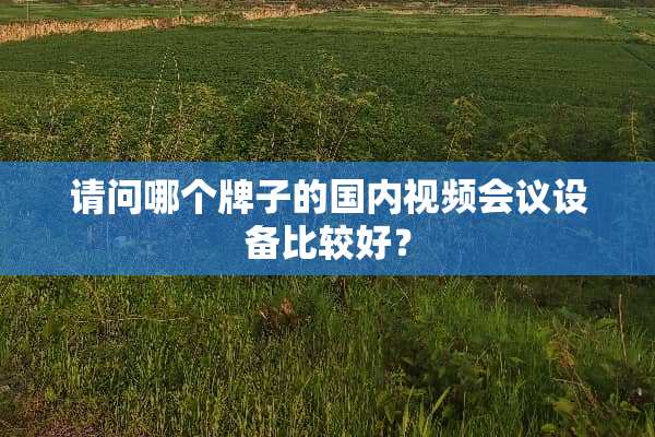 请问哪个牌子的国内视频会议设备比较好？