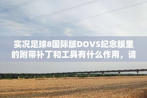 实况**8国际版DOVS纪念版里的附带补丁和工具有什么作用，请高手详细给我解答下
