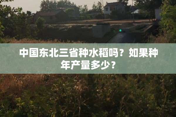 中国东北三省种水稻吗？如果种年产量多少？