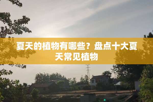 夏天的植物有哪些？盘点十大夏天常见植物