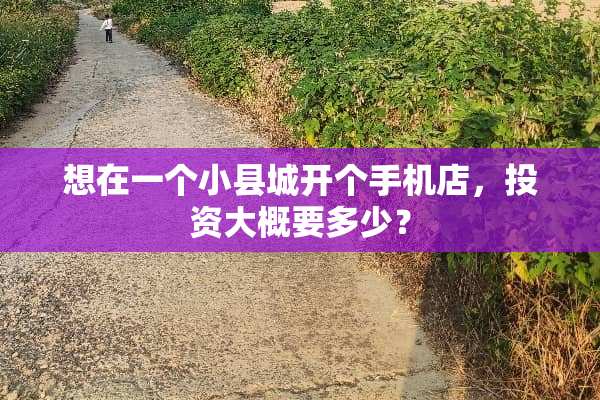 想在一个小县城开个手机店，投资大概要多少？