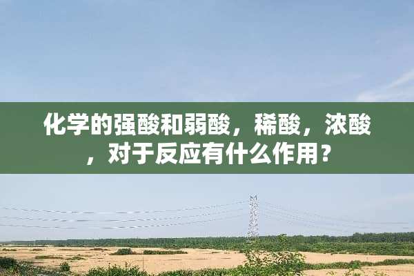 化学的强酸和弱酸，稀酸，浓酸，对于反应有什么作用？