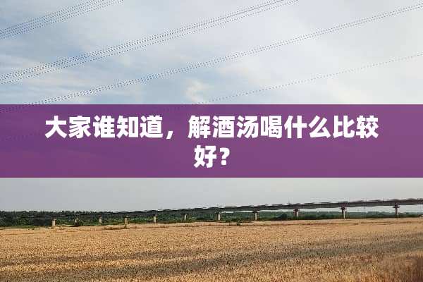 大家谁知道，解酒汤喝什么比较好？