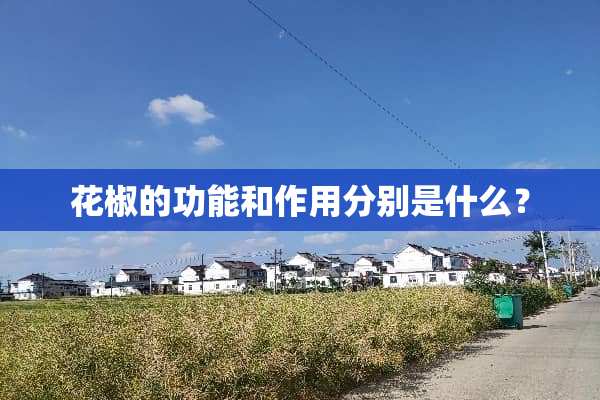 花椒的功能和作用分别是什么？