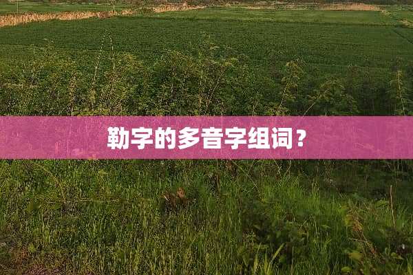 勒字的多音字组词？
