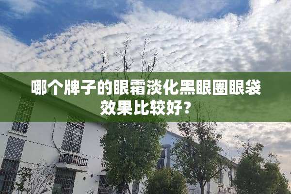 哪个牌子的眼霜淡化黑眼圈眼袋效果比较好？