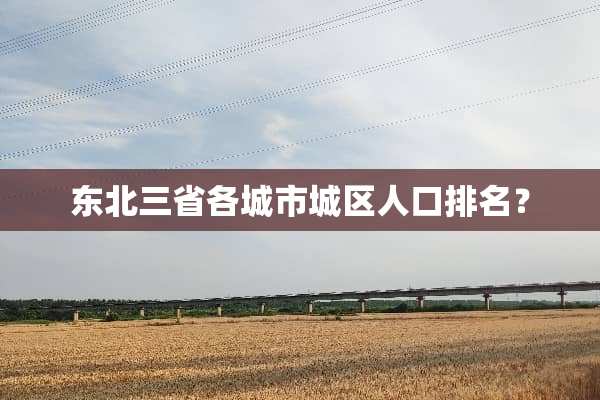 东北三省各城市城区人口排名？