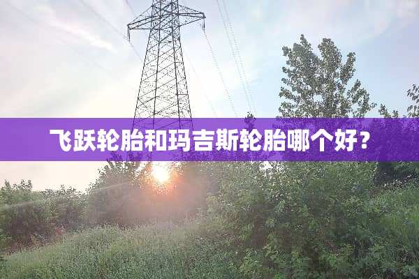 飞跃轮胎和玛吉斯轮胎哪个好？