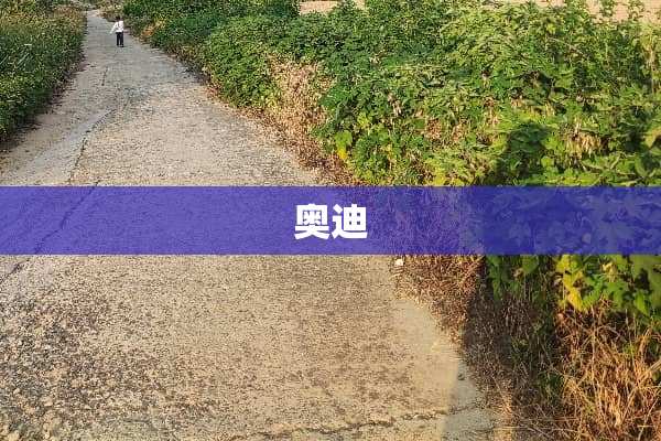 奥迪
