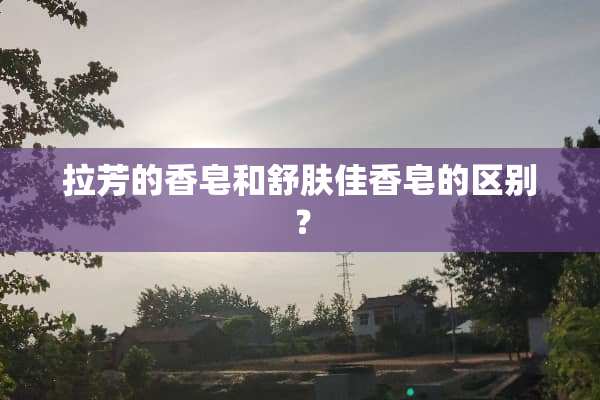 拉芳的香皂和舒肤佳香皂的区别？