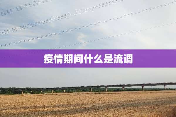 疫情期间什么是流调