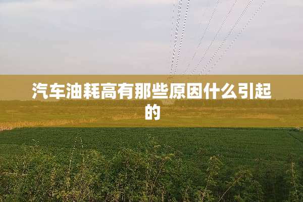 汽车油耗高有那些原因什么引起的