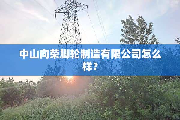 中山向荣脚轮制造有限公司怎么样？
