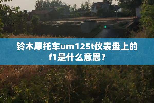 铃木摩托车um125t仪表盘上的f1是什么意思？