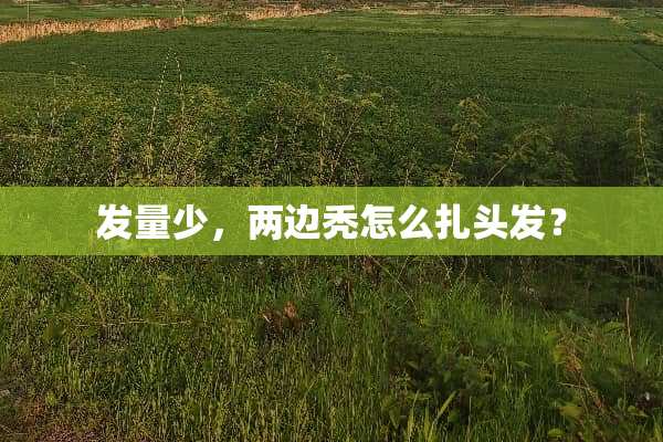 发量少，两边秃怎么扎头发？