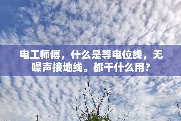 电工师傅，什么是等电位线，无噪声接地线。都干什么用？
