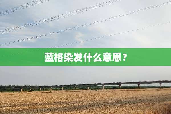 蓝格染发什么意思？