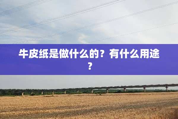 牛皮纸是做什么的？有什么用途？