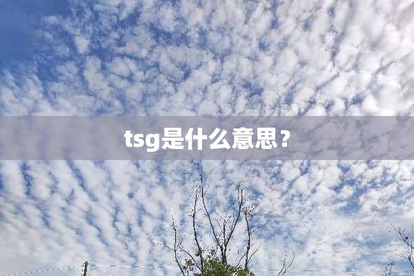 tsg是什么意思？
