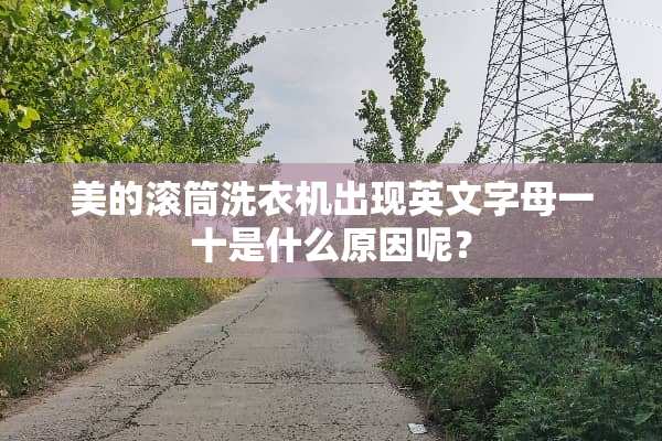 美的滚筒洗衣机出现英文字母一十是什么原因呢？