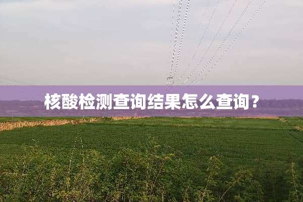 核酸检测查询结果怎么查询？