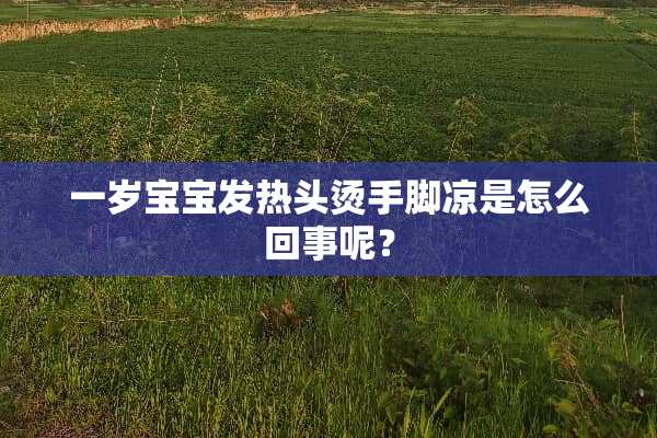 一岁宝宝发热头烫手脚凉是怎么回事呢？