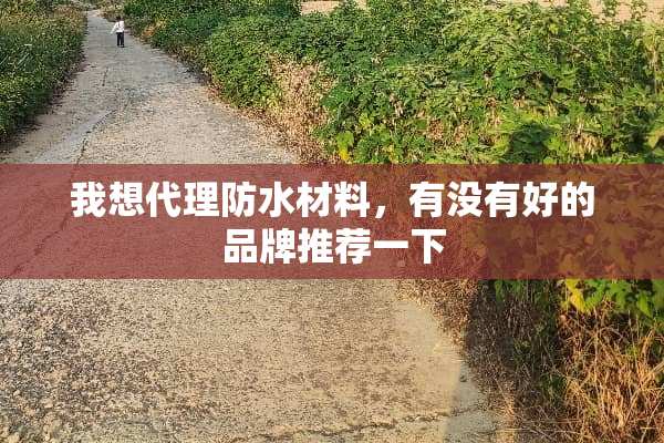 我想代理防水材料，有没有好的品牌推荐一下