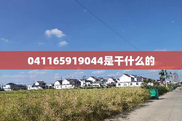 041165919044是干什么的