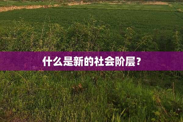 什么是新的社会阶层？