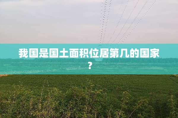 我国是国土面积位居第几的国家？