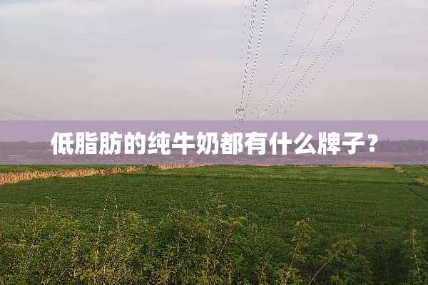 低脂肪的纯牛奶都有什么牌子？