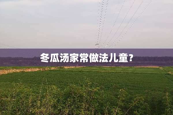 冬瓜汤家常做法儿童？