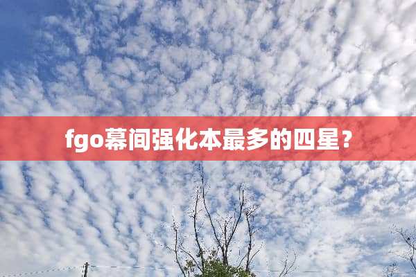 fgo幕间强化本最多的四星？