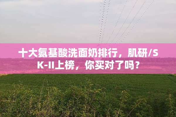 十大氨基酸洗面奶排行，肌研/SK-II上榜，你买对了吗？