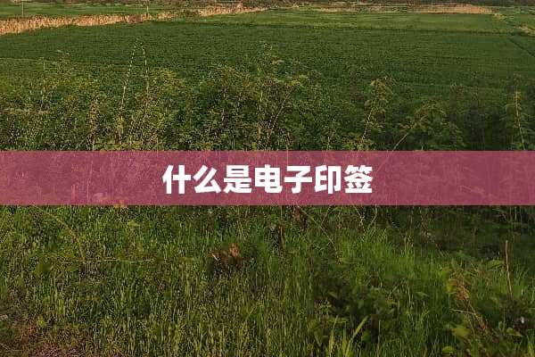 什么是电子印签