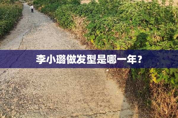 李小璐做发型是哪一年？