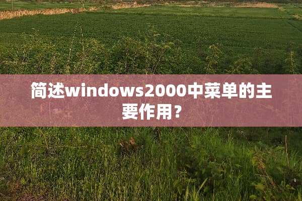 简述windows2000中菜单的主要作用？